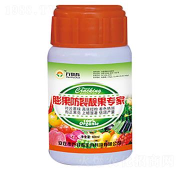 ��������n������-�f�ﴺ