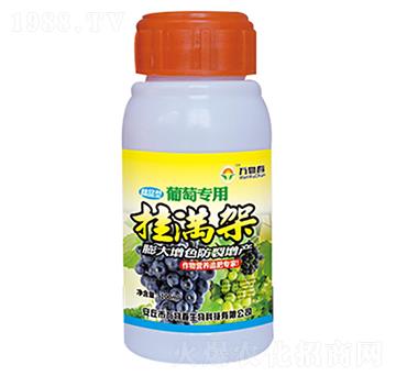 100ml���ђ�M��-�f�ﴺ