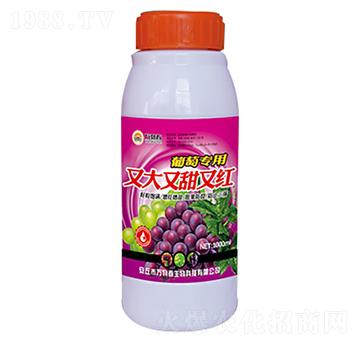1000ml�����ִ������ּt-�f�ﴺ