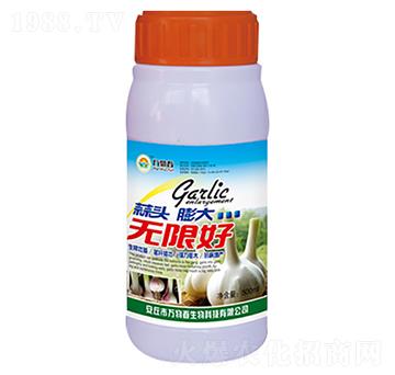 500ml���^���o�޺�-�f�ﴺ