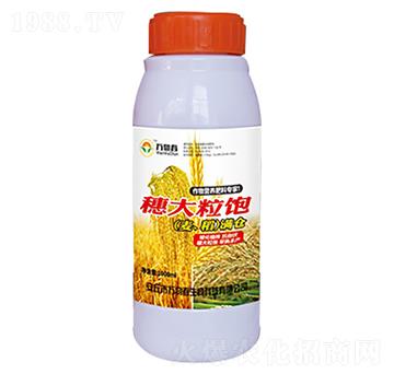 1000ml������С��ˮ���M�}-�f�ﴺ