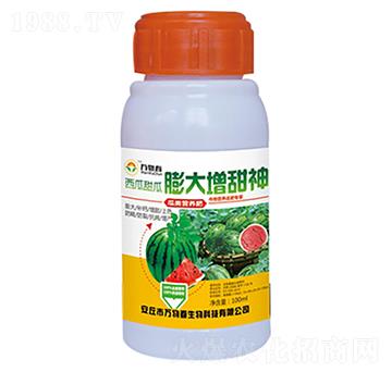 100ml����������������-�f�ﴺ