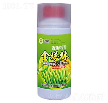 �㽶������-�f�ﴺ