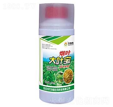 ���~���~��-�f�ﴺ