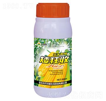 500ml���״ֿs������-�f�ﴺ