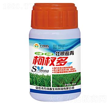 60ml�Ѹ������辶�-�f�ﴺ