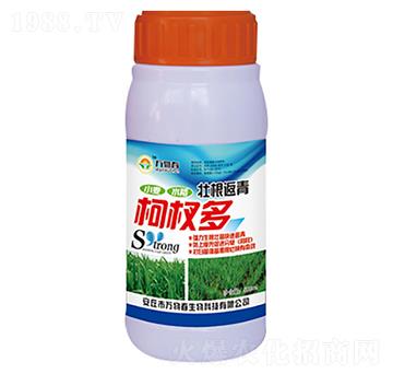 500ml�Ѹ������辶�-�f�ﴺ