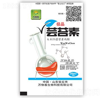 �|̦��-�f�ﴺ