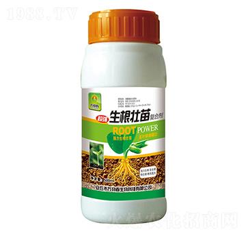 ���������(f��)�τ�-�f�ﴺ