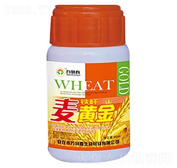 60ml�F�U���S��-�f�ﴺ