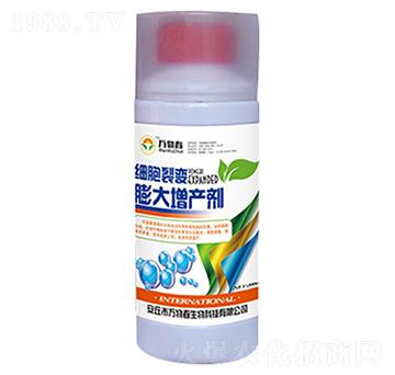 ��(x��)����׃������a(ch��n)��-�f�ﴺ