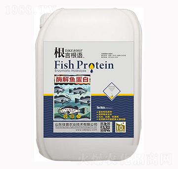 ø���~����-���Ը��Z-�����r(n��ng)�I(y��)