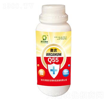 �W�r(n��ng)Q55-�W�r(n��ng)����