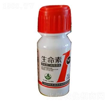 �����ޏ̈́�-������1̖-���r(n��ng)����