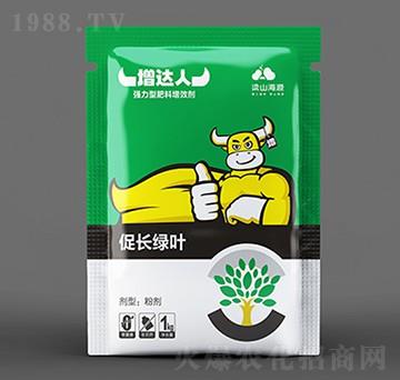 ���L�G�~�~���-���_��-��Դ����