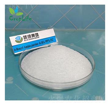 6-�S��������-��(��i)��˹����