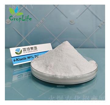 6-����������-����˹����