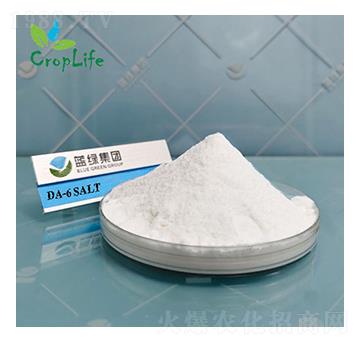 ������Ұ����Ҵ�����DA-6��-��(��i)��˹����