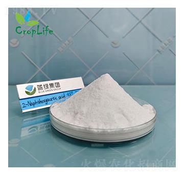 ��-��������-��(��i)��˹����