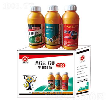 �����x���y����������M��-��������