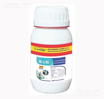 ��Ԫ��-¡�ꠖ