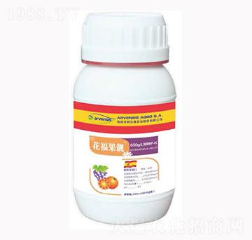 �������n-¡�ꠖ