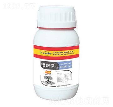 ������-¡�ꠖ