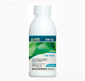 FG��+�����`-��Z���{-������