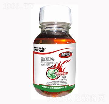 20%���ݿ�-ȼ�a-������