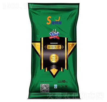 ���@����-ʩ�ؼ�-����