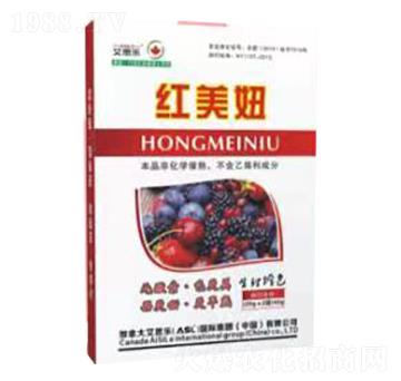 �t���-��˼��