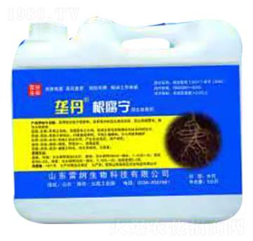 �ŵ�������-�׼{����