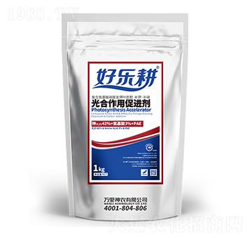 ������ô��M(j��n)�����~��ʣ�-�Ø���-�f(w��n)�����r(n��ng)