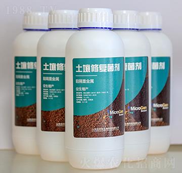 �ؽ����������ޏ;���-�~����