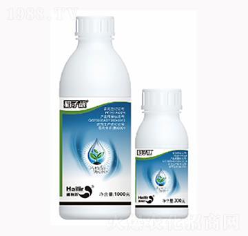 �����n-������