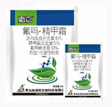 ���ᡤ����˪-˪��-������