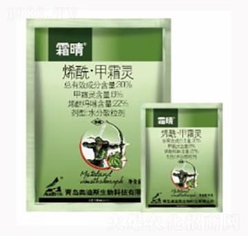 ϩ����˪�`-˪��-������