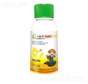 12%�װ������S���ر������}-�ر�ɳ-������r(n��ng)