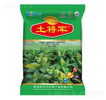 ����܊-��ؐ��