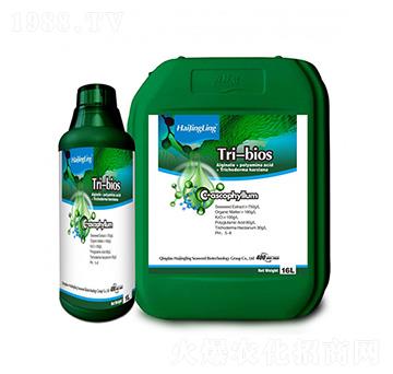 TRI-BIOSҺ�w����-�L�`
