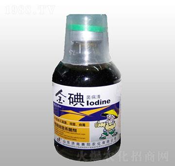 ��������-ِ��r��