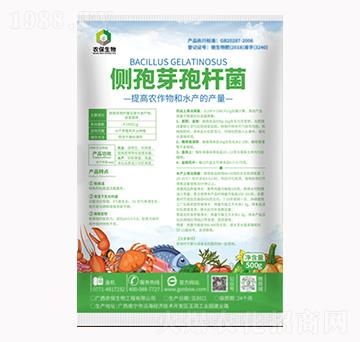 ��(c��)��ѿ�ߗU��-�r(n��ng)������