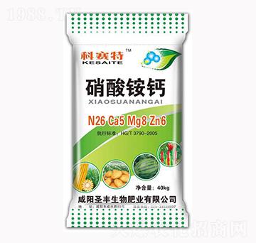 �����@�}-��ِ��-ʥ�S