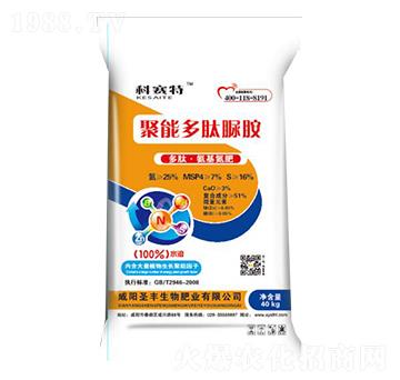 ���ܶ������@-��ِ��-ʥ�S