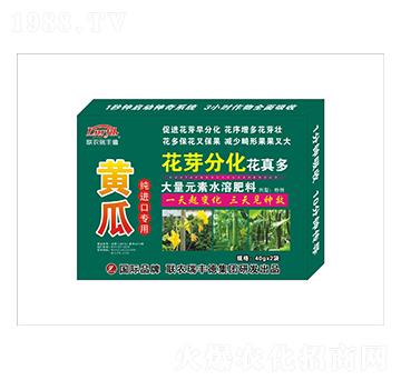 ����Ԫ��ˮ�ܷ�-�S�ϼ��M�ڌ���-��ѿ�ֻ������-���S��