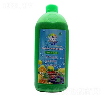 �Ϲ��(l��i)����-�(y��ng)��Ӱ���