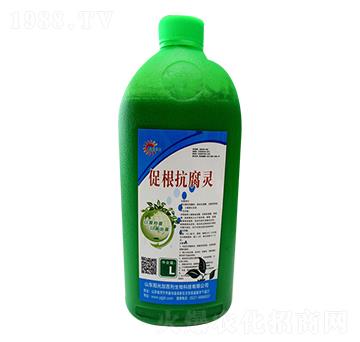 �ٸ������`-�(y��ng)��Ӱ���