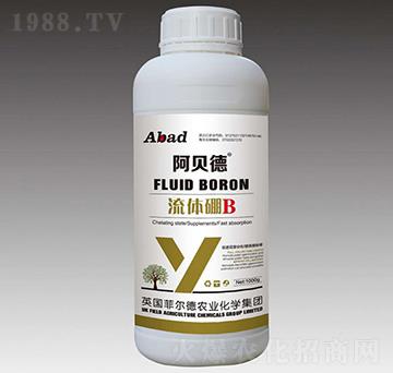 ���w��B(y��ng)-��ؐ��-�Ɲ��r(n��ng)��