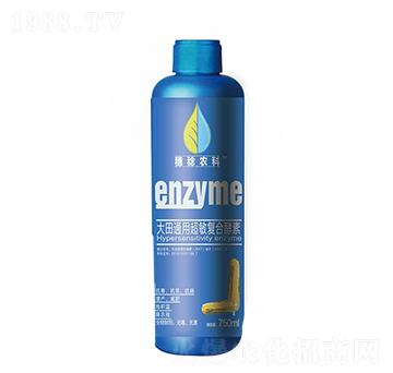 ����ó����(f��)�Ͻ���-�S���r(n��ng)��