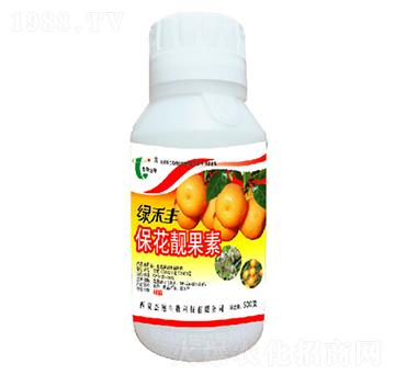 �����n����-�G���S-��������